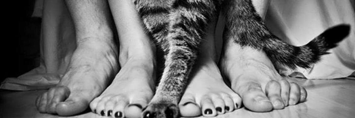 Sreckovic_KA's profile banner image