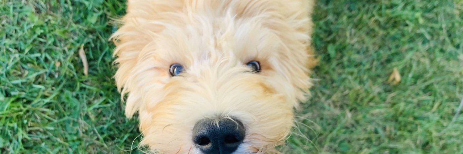 jswizzay's profile banner image