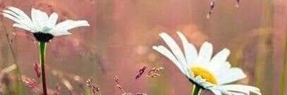 mkasgoz's profile banner image