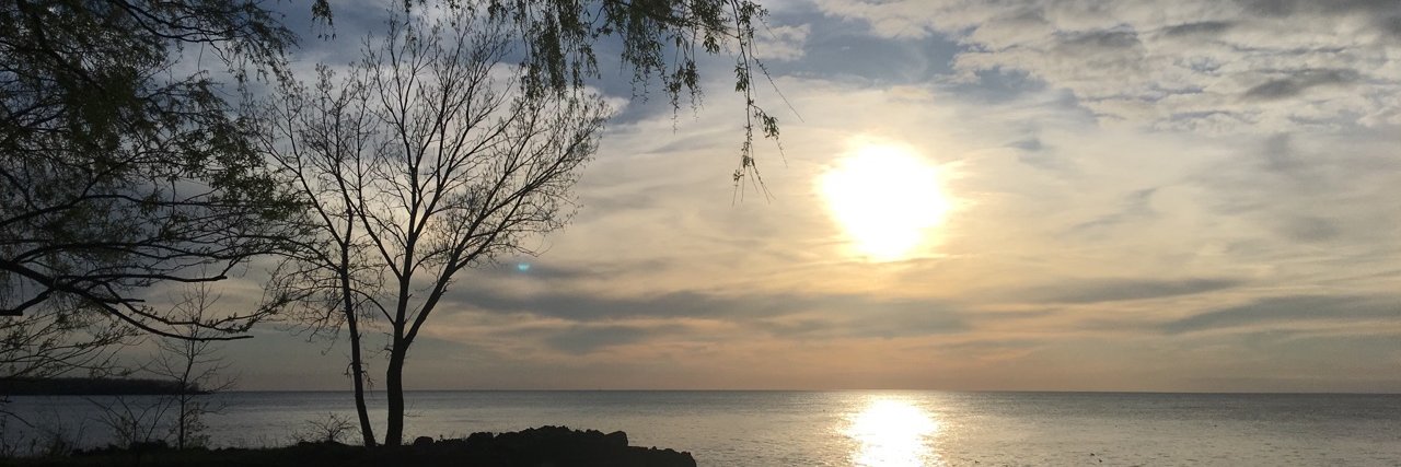 lesliebdavidson's profile banner image
