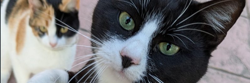 Fred_Bolson's profile banner image