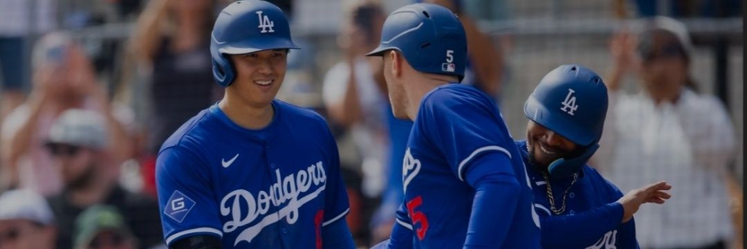 S🅰️d Dodgers Fan banner