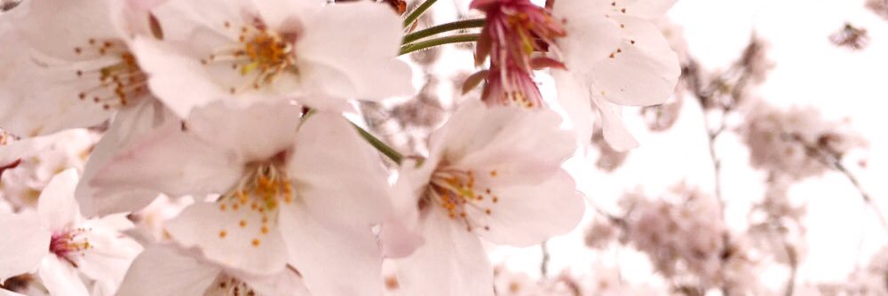 VvCm7's profile banner image
