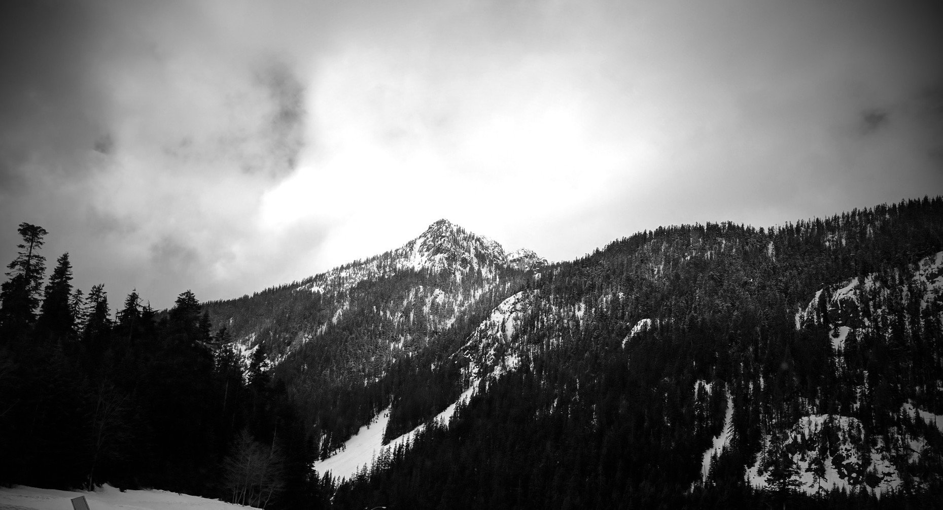 pseudopsyche's profile banner image
