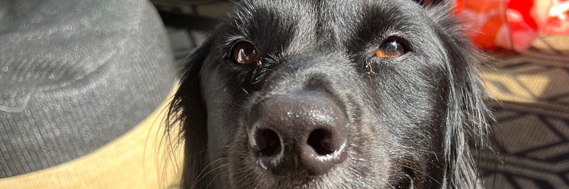 MTourchak's profile banner image