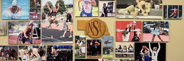 NSAA Profile Banner