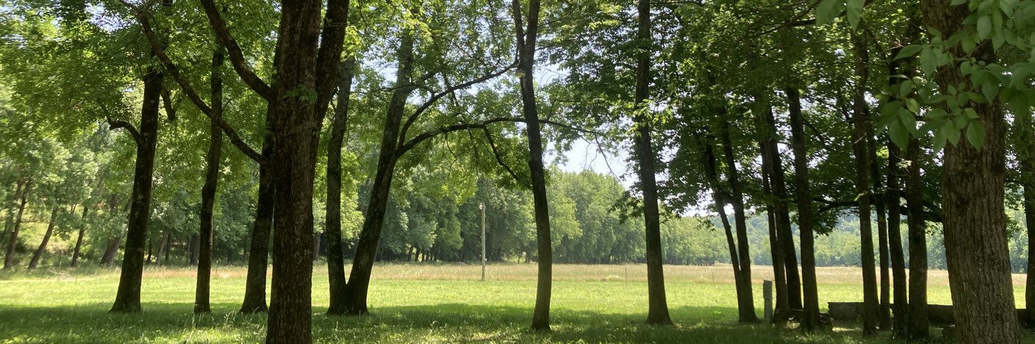 Muyi, Ph. D | 暮依博士 banner