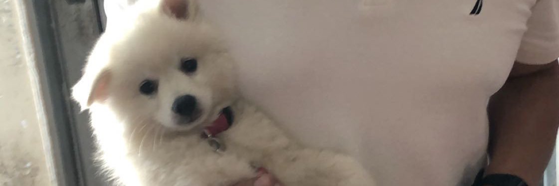 ElizabethXico's profile banner image