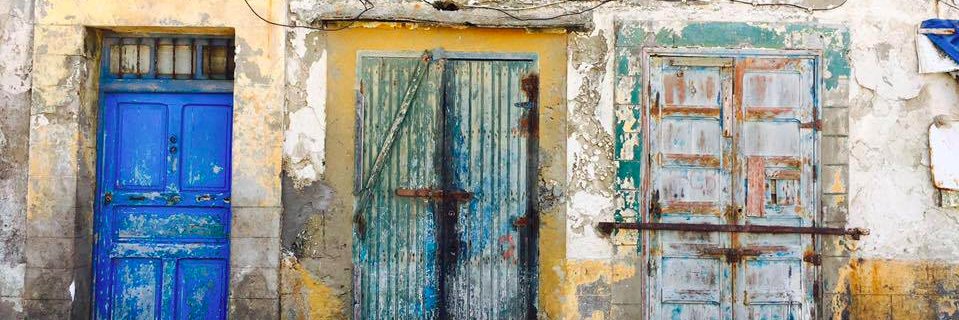 Caitlin Howald (she/her) banner