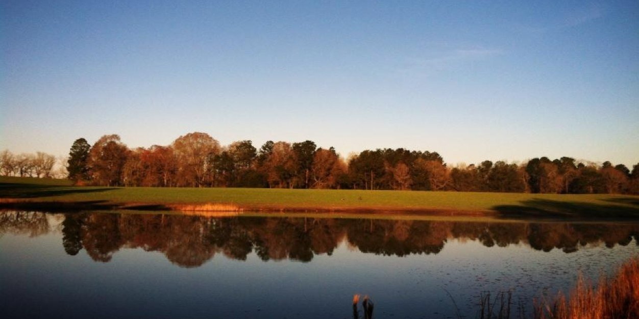 mwilkinson12's profile banner image