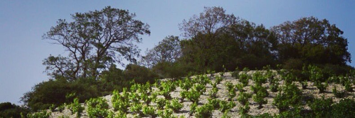 naturallycyprus's profile banner image