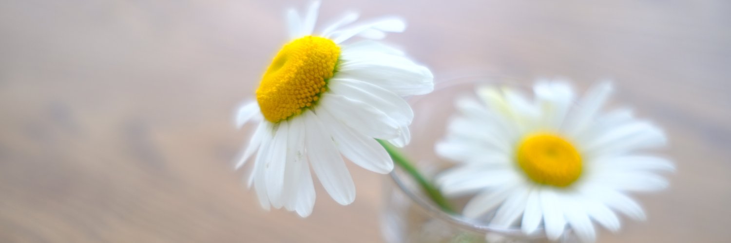 Hiroaki Ohmori banner