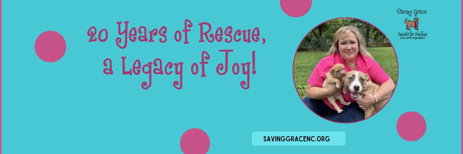 SavingGraceNC's profile banner image
