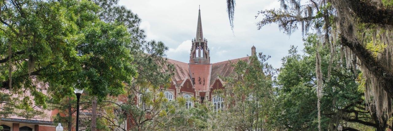 Cathy Cavanaugh 🦩 banner