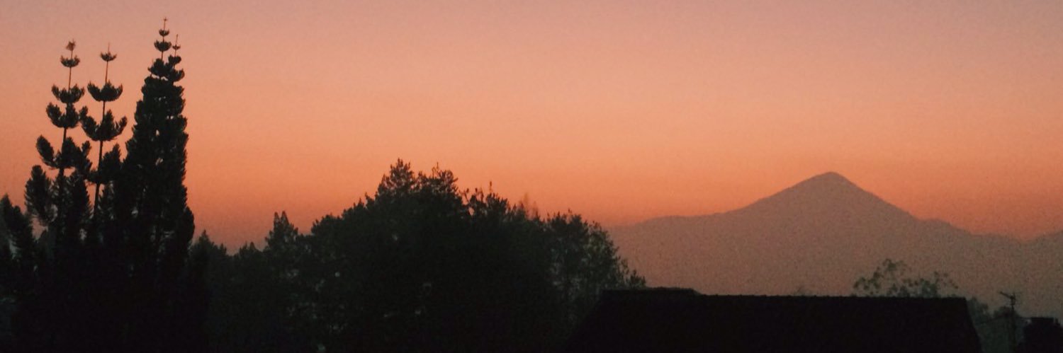 dewidewp's profile banner image