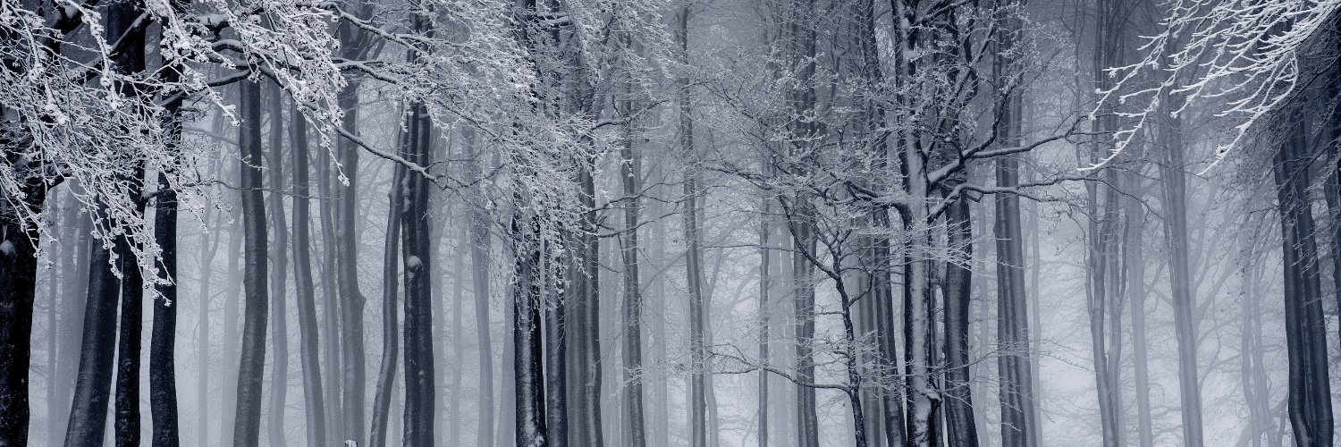 chainsaw_maniac's profile banner image