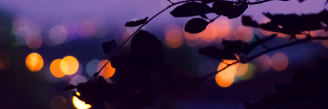 TheJingerSnap's profile banner image