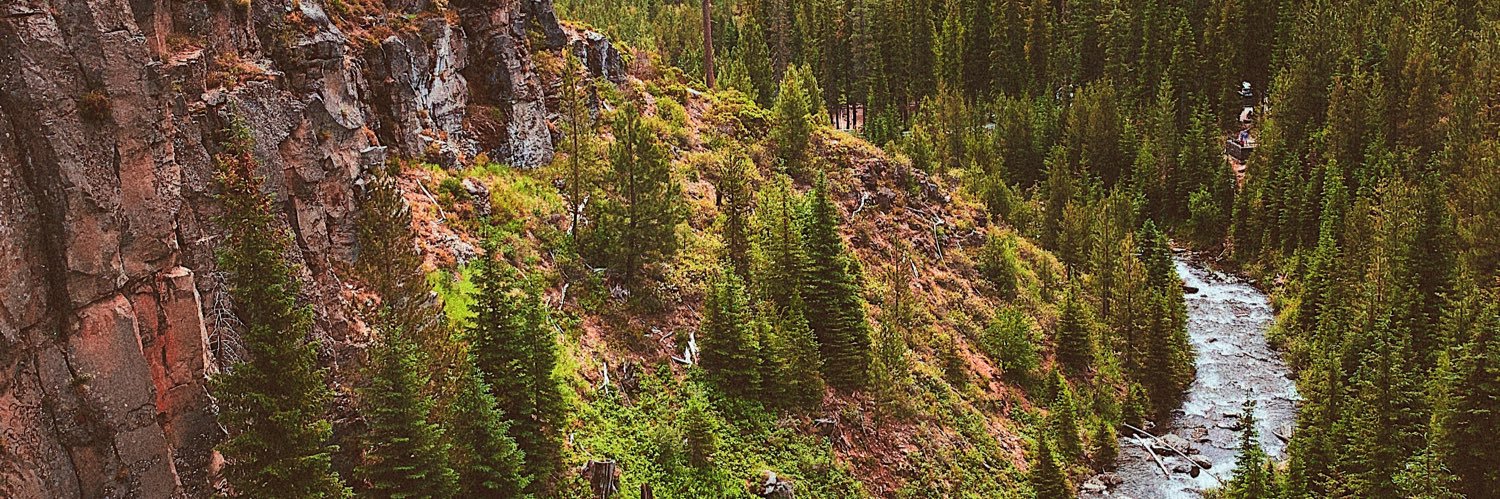 boyer_sierra's profile banner image