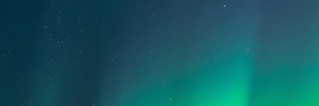 NeoPactus's profile banner image