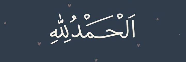 Meilandyaa's profile banner image