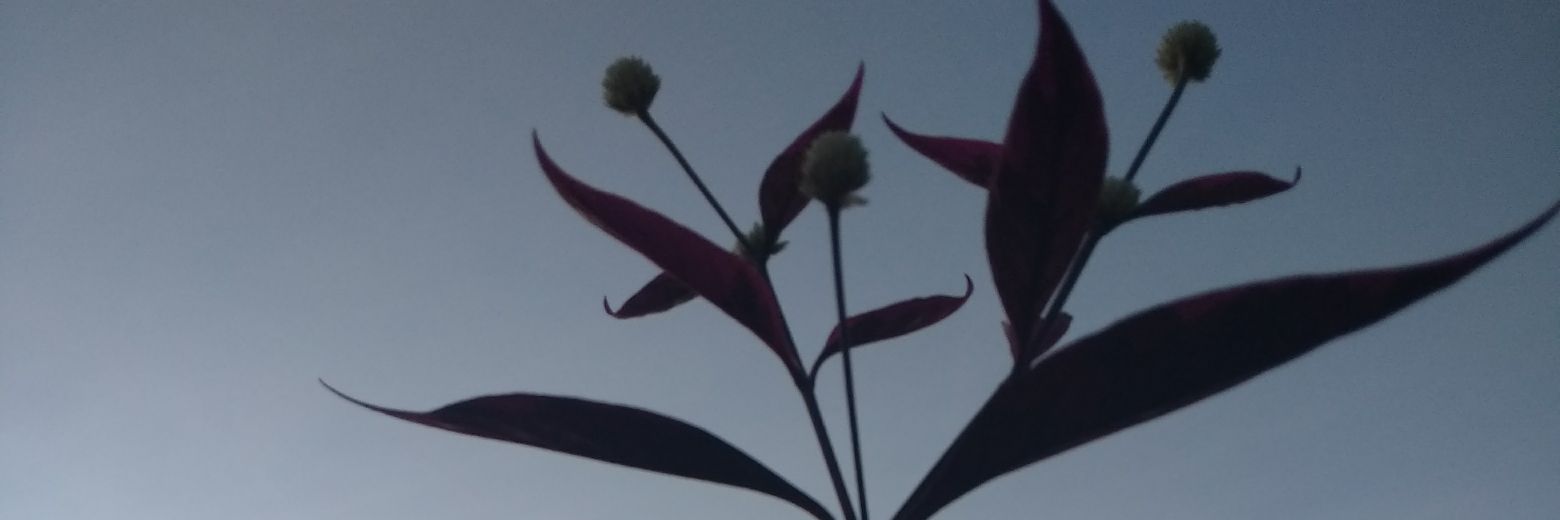 isimarsan's profile banner image