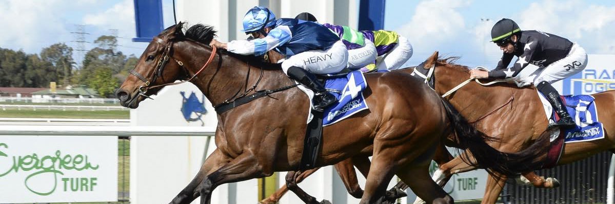 RacingJJJ's profile banner image