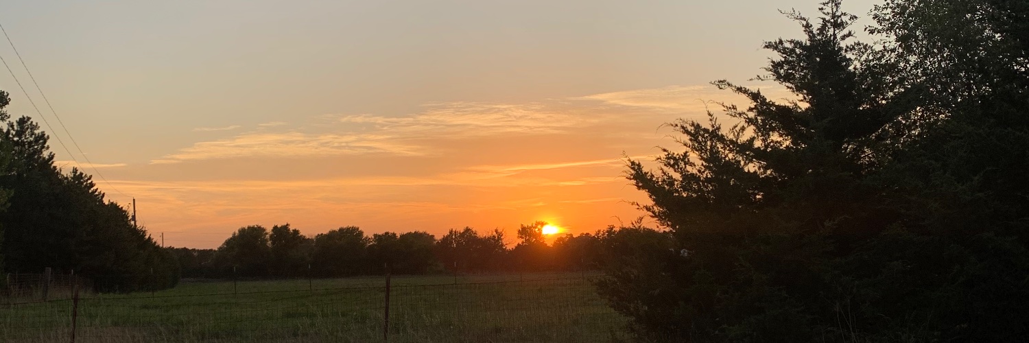 casesutton_'s profile banner image