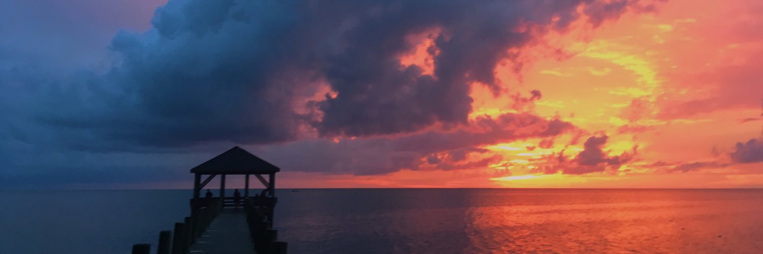 Clairreebearrr's profile banner image