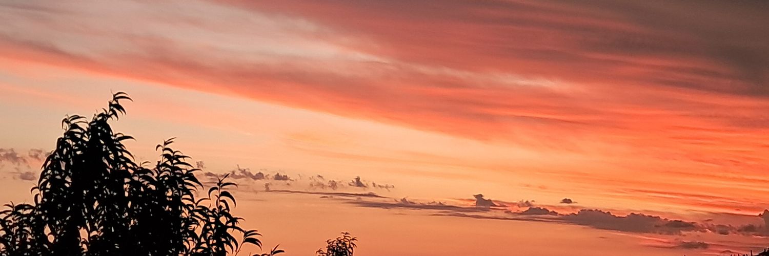 Nontombi🤍💖 banner