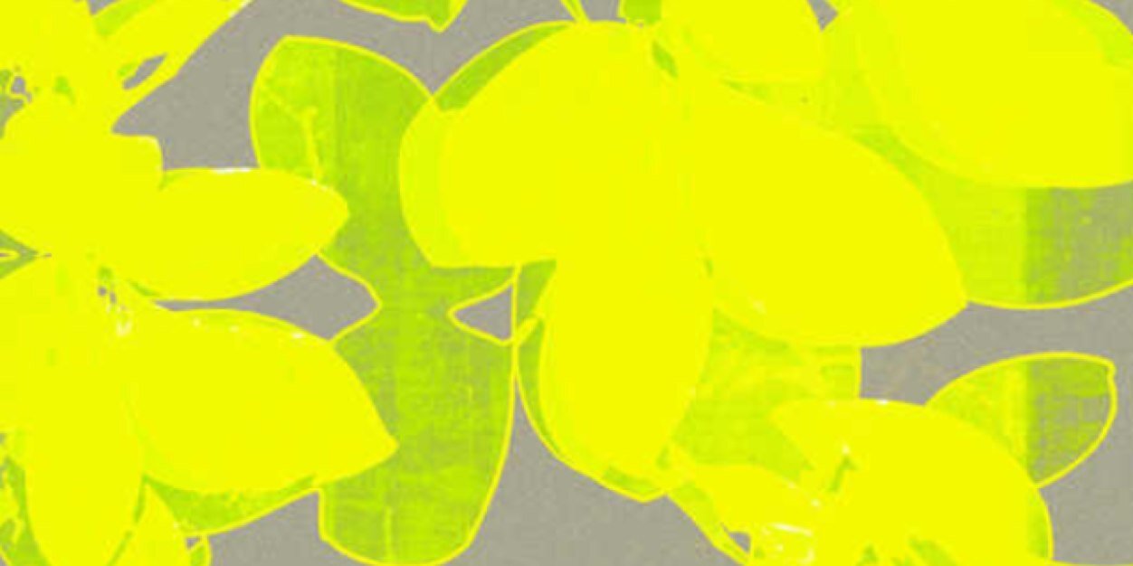stefanny1023's profile banner image