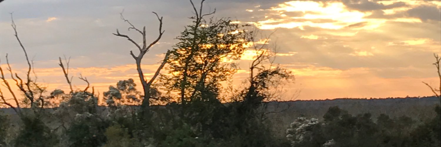 KristinMirrer's profile banner image