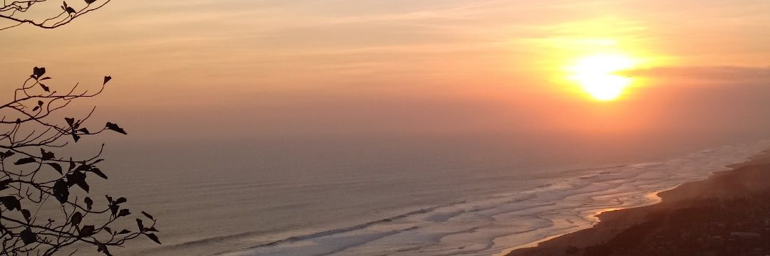 sarahSHRF's profile banner image