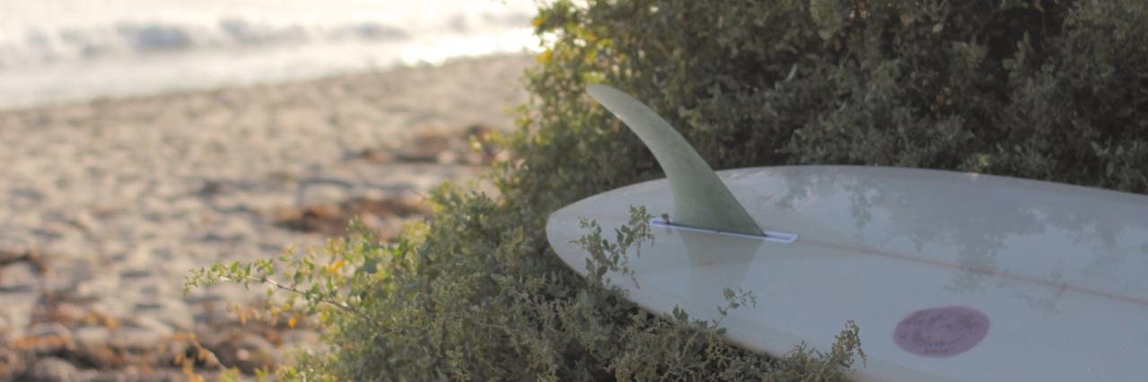 Costasurf banner