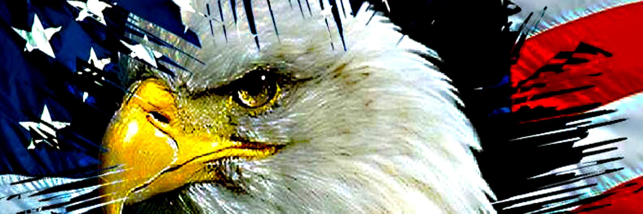 PropointSteve's profile banner image