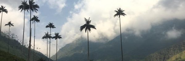 EduardoMoncad Profile Banner