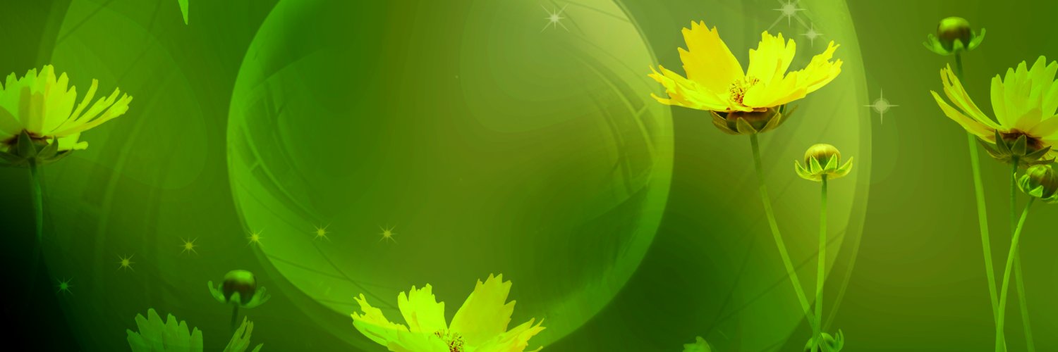 b_kavetha's profile banner image