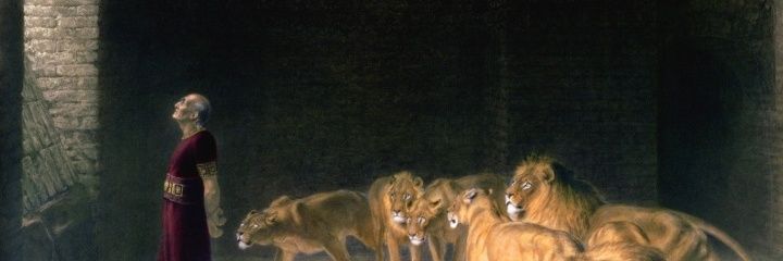 _maark2's profile banner image