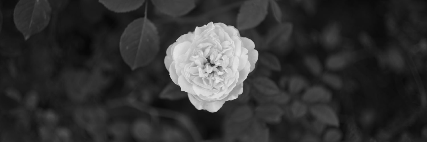 s_tet_s's profile banner image