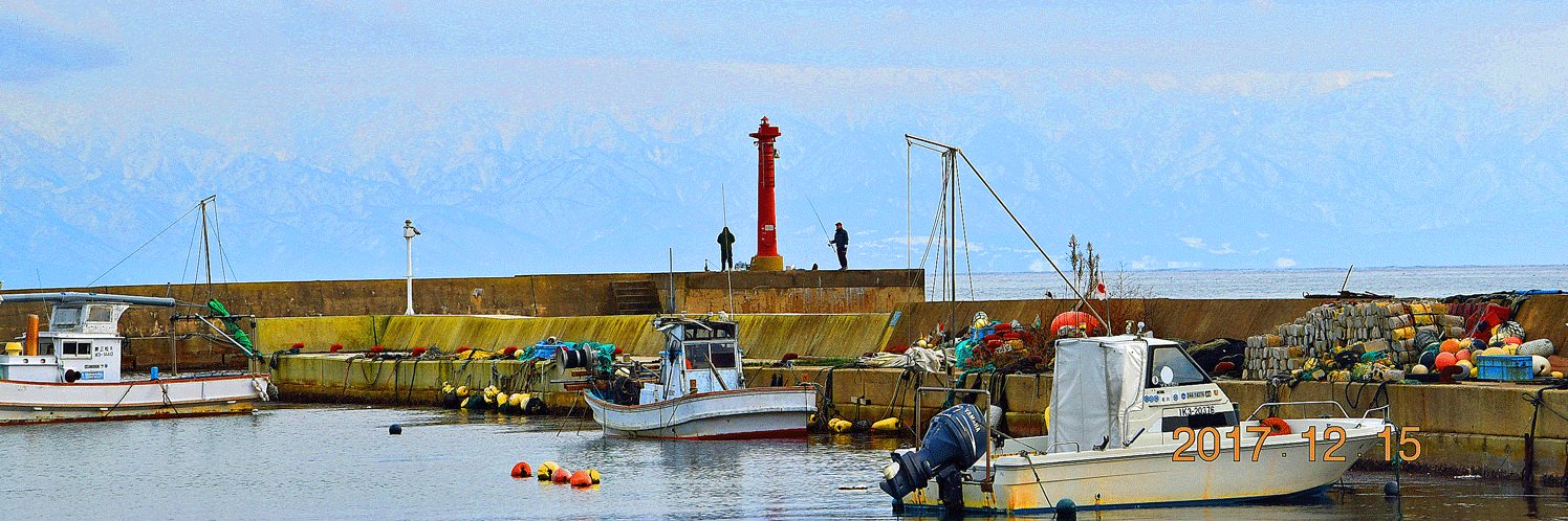 エムティグリーン/ 記念樹のケア（お手入れ） banner