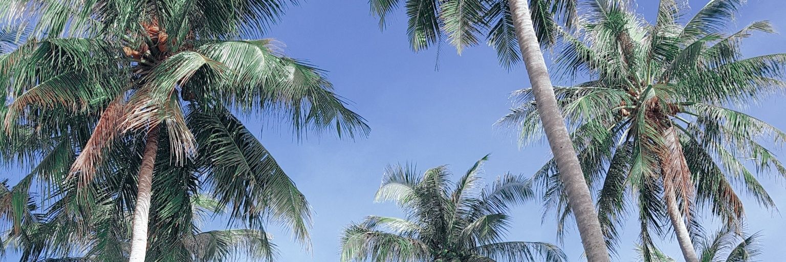 deviiramadani's profile banner image