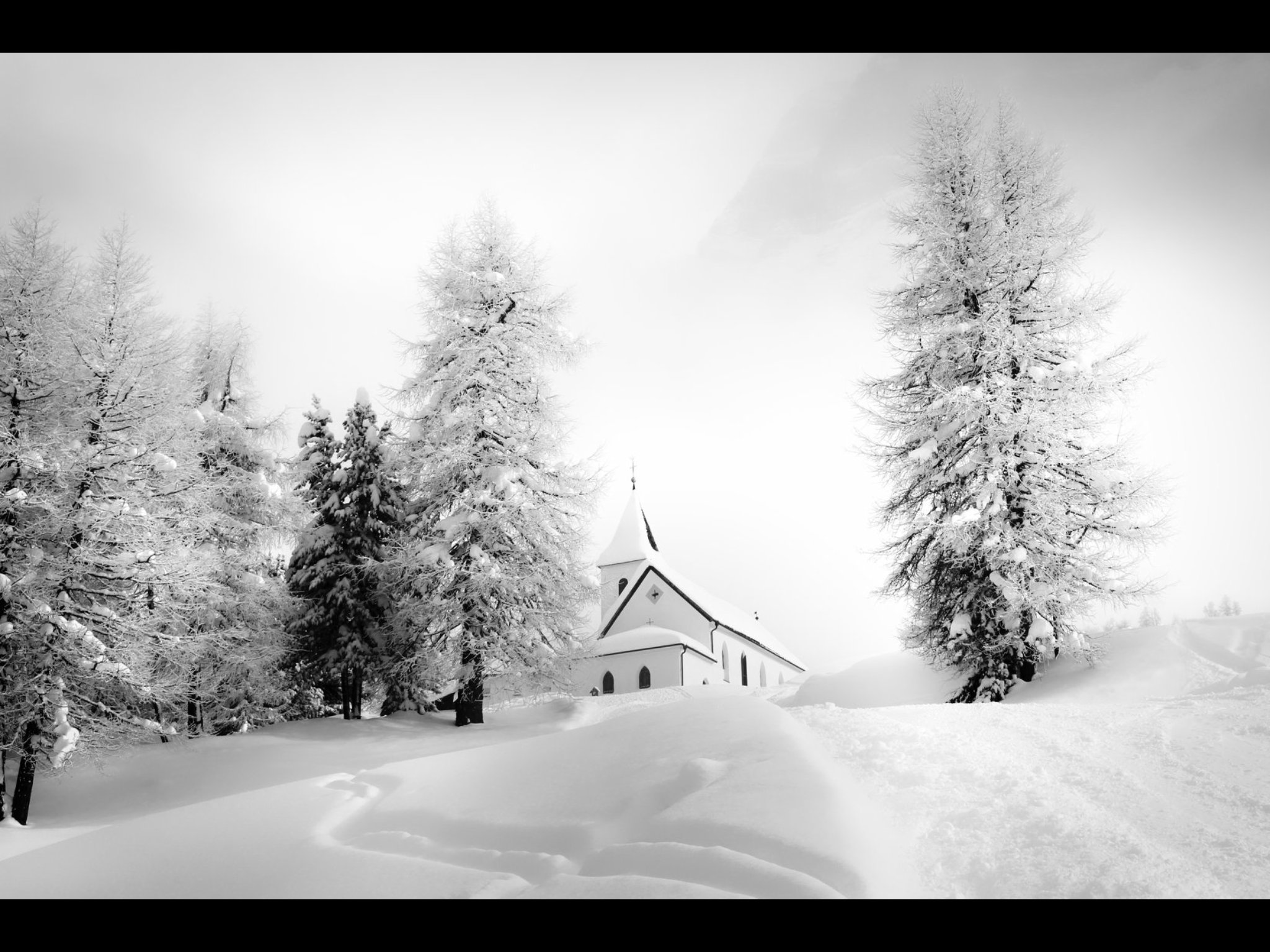 mcarioli's profile banner image