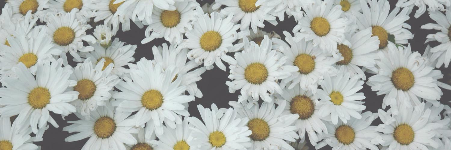 ohitsjosje's profile banner image
