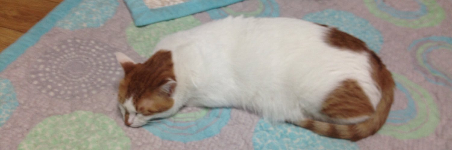 wizardrogue's profile banner image