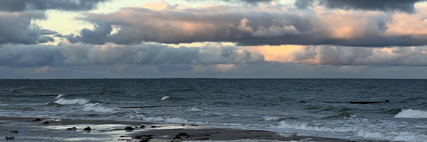 Georg Schomerus banner