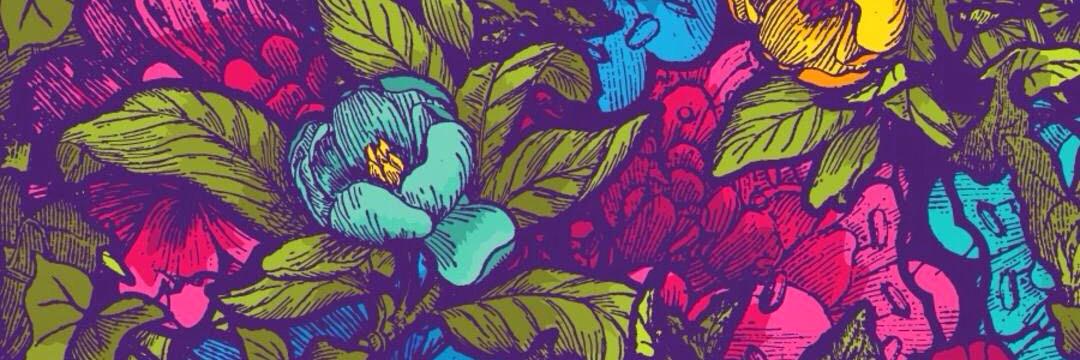 FelicityDonna's profile banner image