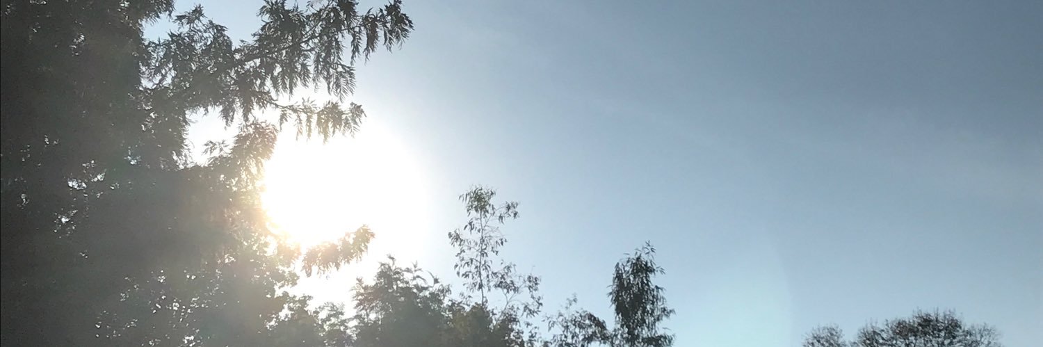 lauribe's profile banner image
