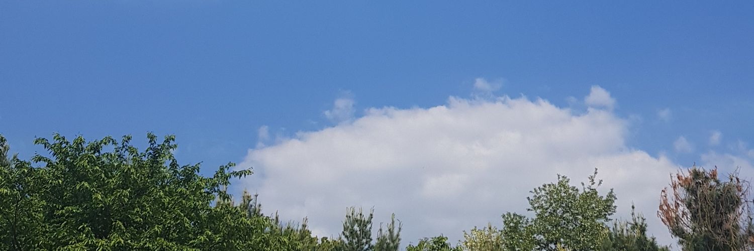 facehan's profile banner image