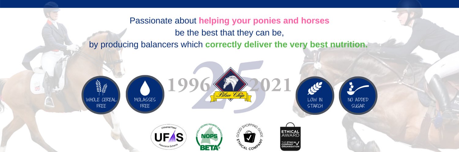 Blue Chip Feed banner