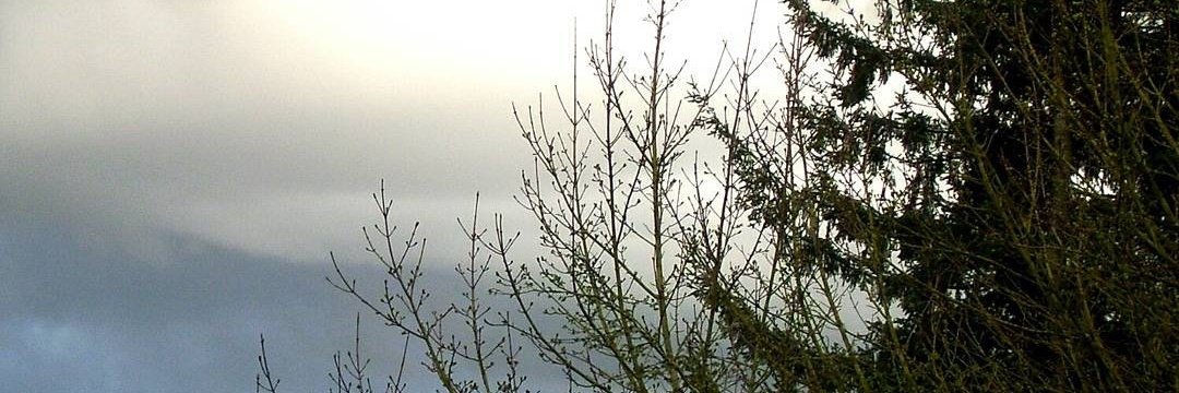 emmaintherain's profile banner image