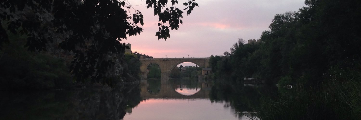 Mónica Cobos banner